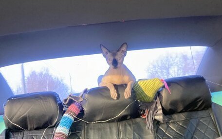 Audi A6, 1998 год, 410 000 рублей, 9 фотография