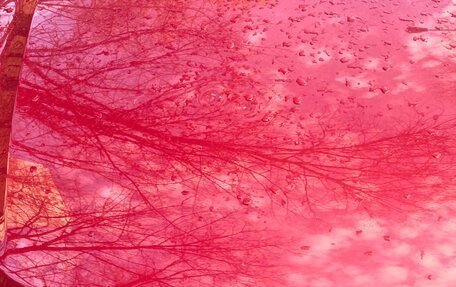 Hyundai Creta I рестайлинг, 2018 год, 1 590 000 рублей, 13 фотография