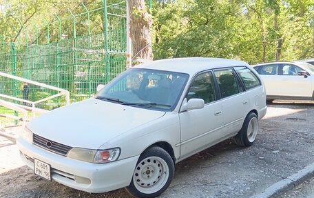Toyota Corolla, 2001 год, 220 000 рублей, 4 фотография