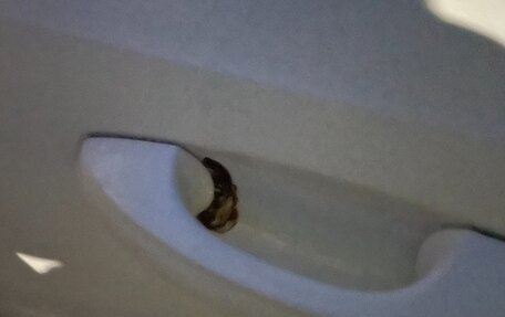 Skoda Octavia, 2016 год, 1 600 000 рублей, 8 фотография