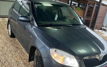 Skoda Fabia II, 2010 год, 660 000 рублей, 5 фотография