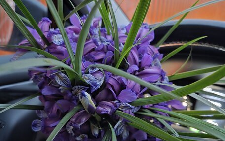 Nissan Qashqai, 2014 год, 1 550 000 рублей, 9 фотография