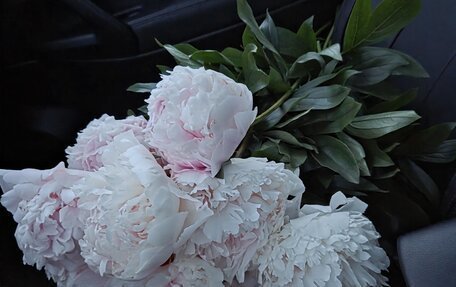 Nissan Qashqai, 2014 год, 1 550 000 рублей, 11 фотография