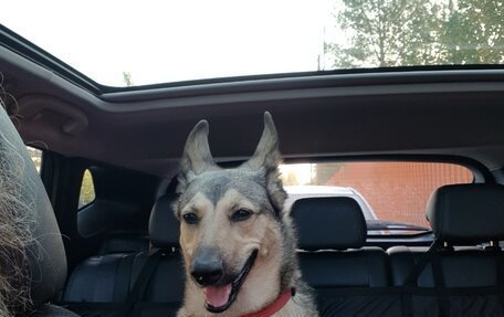 Nissan Qashqai, 2014 год, 1 550 000 рублей, 10 фотография