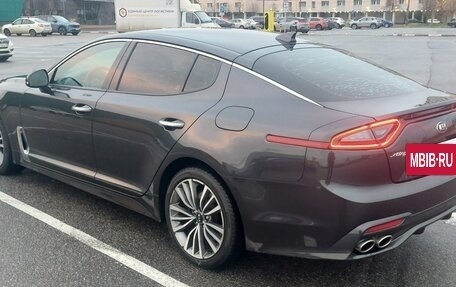 KIA Stinger I, 2019 год, 2 400 000 рублей, 4 фотография