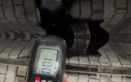 BMW X4, 2017 год, 2 900 000 рублей, 39 фотография