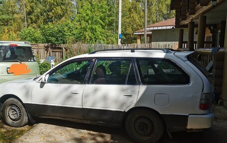 Toyota Corolla, 1998 год, 250 000 рублей, 1 фотография