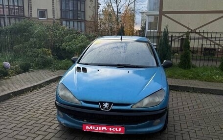 Peugeot 206, 2002 год, 180 000 рублей, 1 фотография