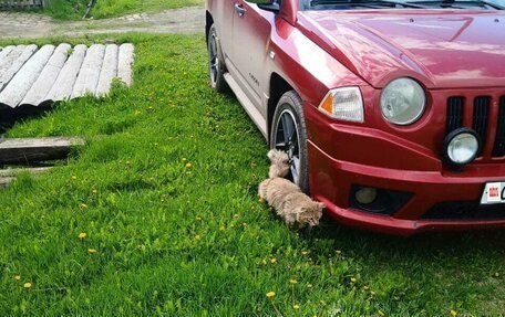 Jeep Compass I рестайлинг, 2007 год, 800 000 рублей, 3 фотография