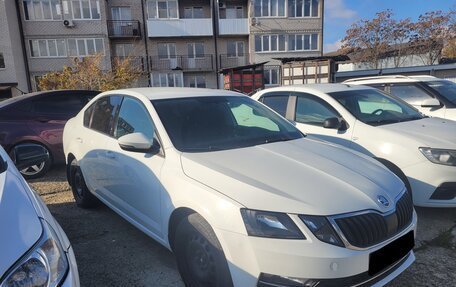 Skoda Octavia, 2019 год, 1 470 000 рублей, 1 фотография