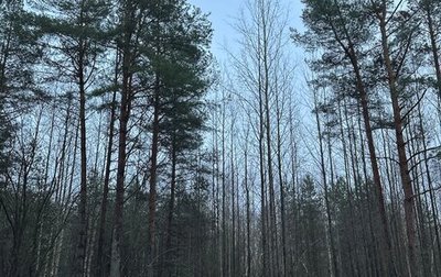 Audi A4, 2018 год, 1 910 000 рублей, 1 фотография