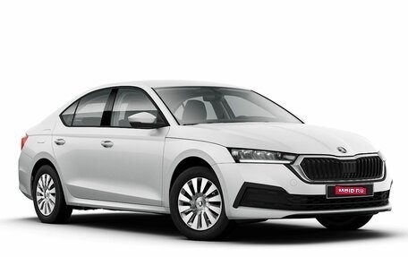 Skoda Octavia IV, 2025 год, 3 700 000 рублей, 1 фотография