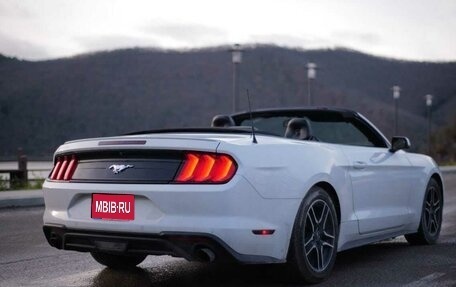 Ford Mustang VI рестайлинг, 2019 год, 2 500 000 рублей, 1 фотография