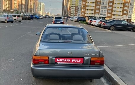Toyota Corolla, 1996 год, 96 000 рублей, 2 фотография