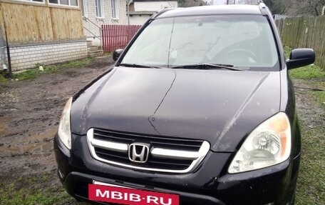 Honda CR-V II рестайлинг, 2003 год, 520 000 рублей, 2 фотография