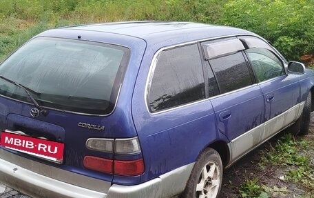 Toyota Corolla, 1999 год, 250 000 рублей, 4 фотография