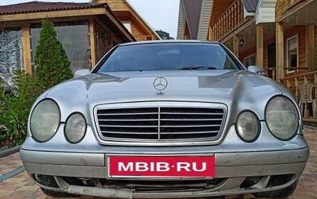 Mercedes-Benz CLK-Класс, 2001 год, 480 000 рублей, 1 фотография