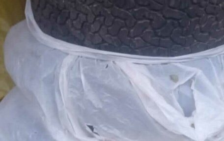 Renault Duster, 2022 год, 2 155 000 рублей, 10 фотография