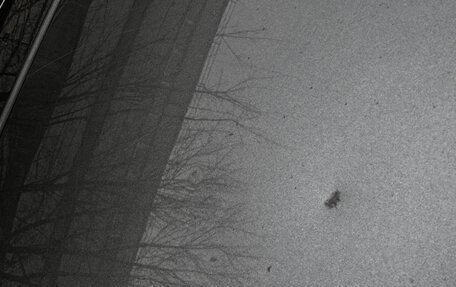 Nissan Terrano III, 2021 год, 1 650 000 рублей, 17 фотография