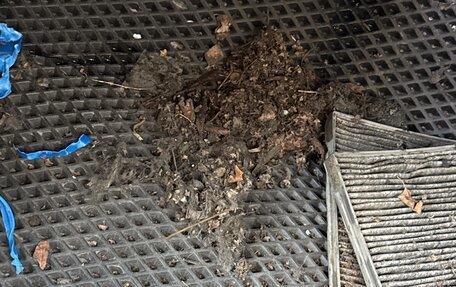 Nissan Almera, 1998 год, 250 000 рублей, 37 фотография