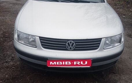 Volkswagen Passat B5+ рестайлинг, 2000 год, 300 000 рублей, 3 фотография