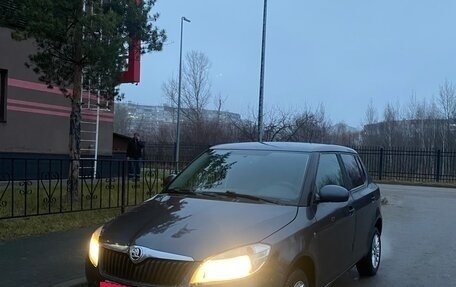 Skoda Fabia II, 2013 год, 1 фотография