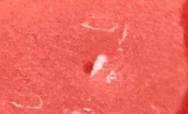 BMW X1, 2019 год, 2 900 000 рублей, 10 фотография