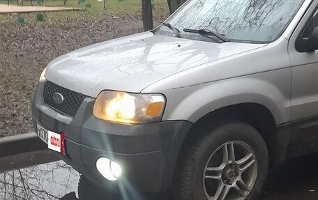 Ford Escape II, 2005 год, 260 000 рублей, 1 фотография