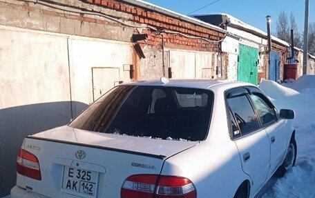 Toyota Corolla, 1999 год, 335 000 рублей, 3 фотография