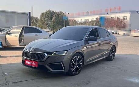 Skoda Octavia IV, 2023 год, 1 680 000 рублей, 1 фотография