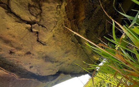 Volkswagen Vento, 1997 год, 135 000 рублей, 18 фотография