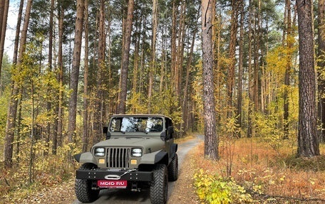 Jeep Wrangler, 1993 год, 5 000 000 рублей, 1 фотография