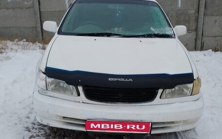 Toyota Corolla, 2000 год, 265 000 рублей, 1 фотография