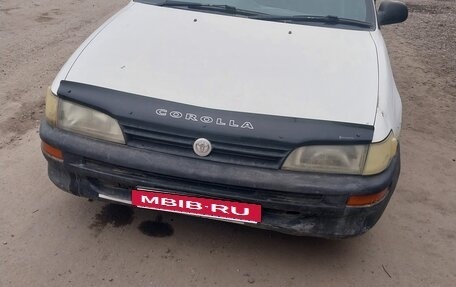 Toyota Corolla, 2001 год, 222 000 рублей, 2 фотография