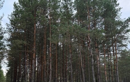 Hyundai Santa Fe IV, 2019 год, 4 250 000 рублей, 3 фотография