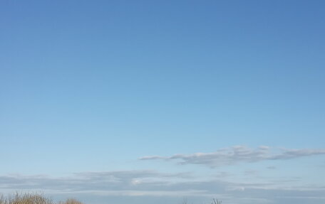 Renault Sandero II рестайлинг, 2018 год, 900 000 рублей, 4 фотография