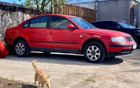 Volkswagen Passat B5+ рестайлинг, 1998 год, 149 000 рублей, 12 фотография