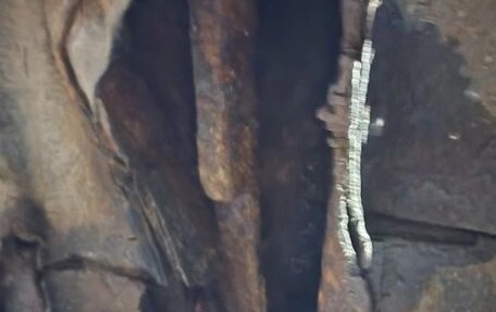 Ford Mondeo III, 2001 год, 222 000 рублей, 15 фотография