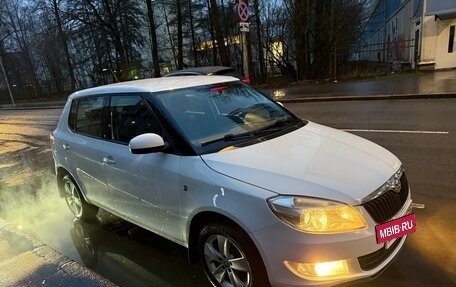 Skoda Fabia II, 2014 год, 999 999 рублей, 27 фотография