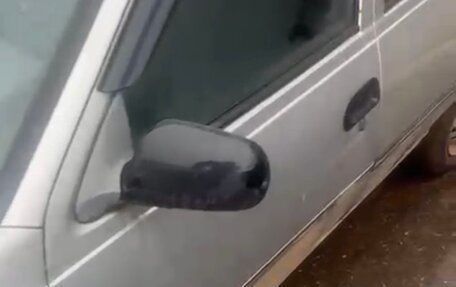 Daewoo Nexia I рестайлинг, 2004 год, 100 000 рублей, 3 фотография