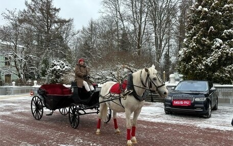 Land Rover Range Rover IV рестайлинг, 2017 год, 6 000 000 рублей, 19 фотография
