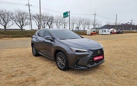 Lexus NX, 2023 год, 6 728 911 рублей, 1 фотография