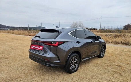 Lexus NX, 2023 год, 6 728 911 рублей, 7 фотография