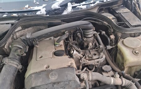 Mercedes-Benz C-Класс, 1997 год, 145 000 рублей, 1 фотография