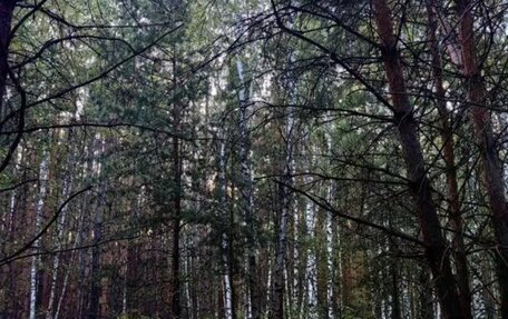 Toyota Land Cruiser Prado 150 рестайлинг 2, 2012 год, 3 500 000 рублей, 2 фотография