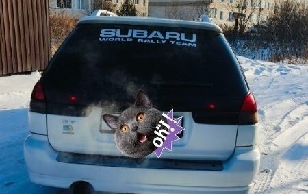 Subaru Legacy VII, 1998 год, 450 000 рублей, 11 фотография