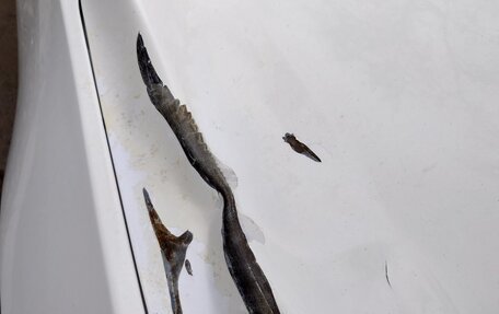 Chevrolet Cruze II, 2014 год, 570 000 рублей, 4 фотография