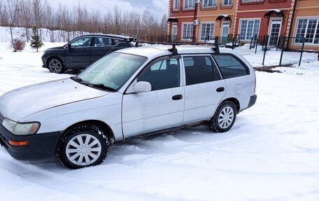 Toyota Corolla, 1998 год, 170 000 рублей, 4 фотография