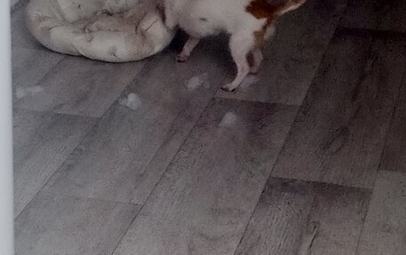 Citroen C4 Picasso II рестайлинг, 2011 год, 600 000 рублей, 14 фотография