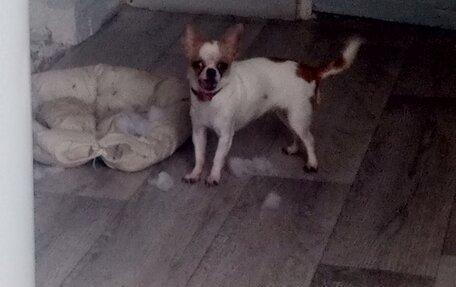 Citroen C4 Picasso II рестайлинг, 2011 год, 600 000 рублей, 15 фотография